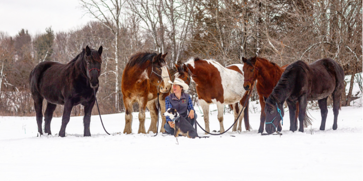 Tetagouche River Ranch